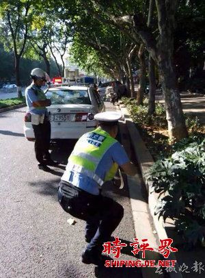 女司機(jī)開(kāi)寶馬連撞兩警車 被帶下車時(shí)全身癱軟